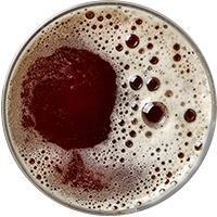 https://www.hottubbar.nl/wp-content/uploads/2017/05/beer_transparent_02.png
