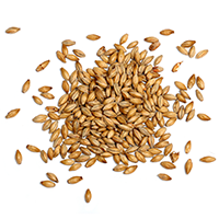 ingredients_transparent_03 https://www.hottubbar.nl/wp-content/uploads/2017/05/ingredients_transparent_03.png